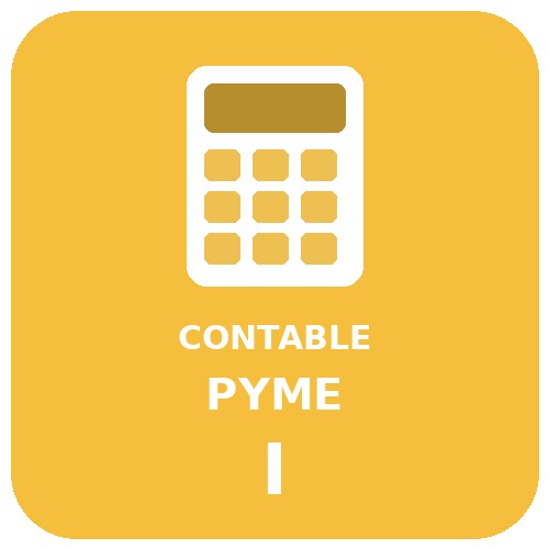 CONTABLE PYME I
