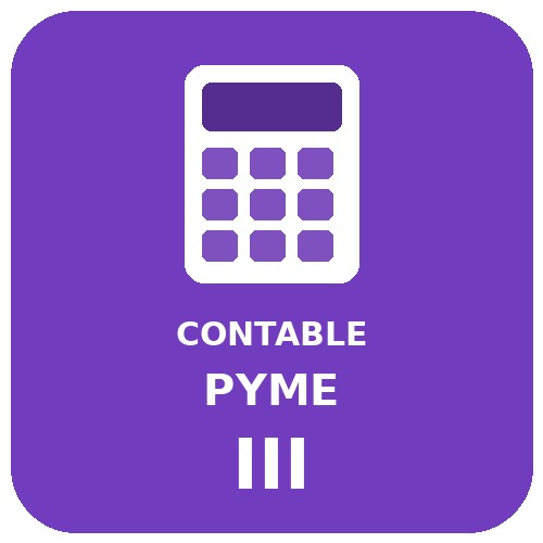 CONTABLE PYME III